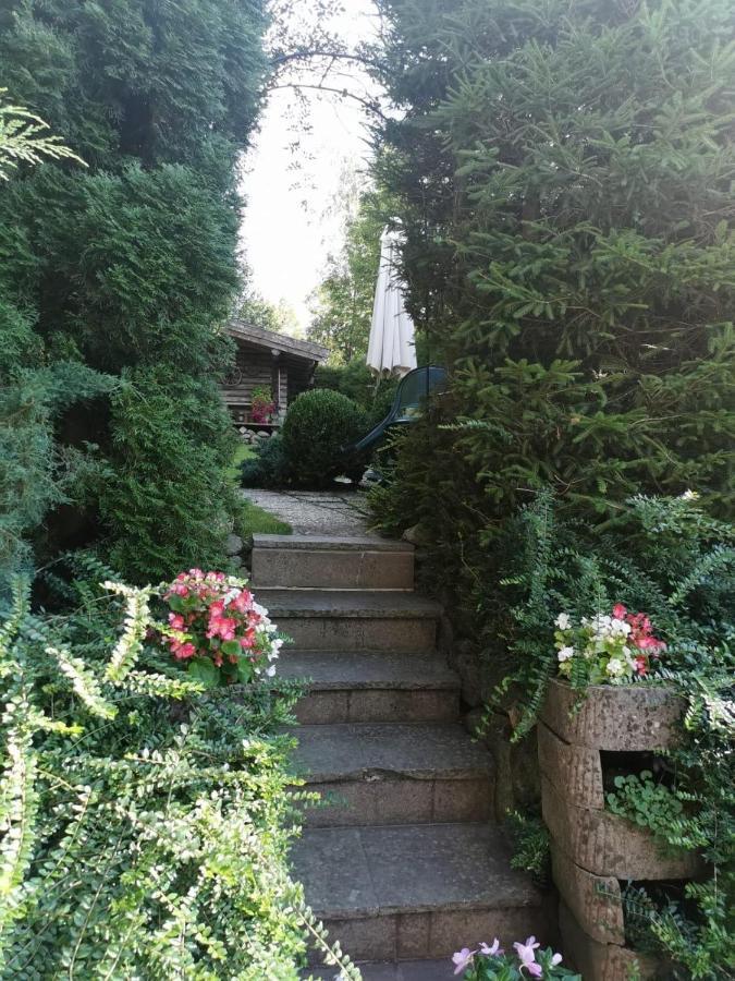 דירות קירשברג אין טירול Haus Am Bach מראה חיצוני תמונה